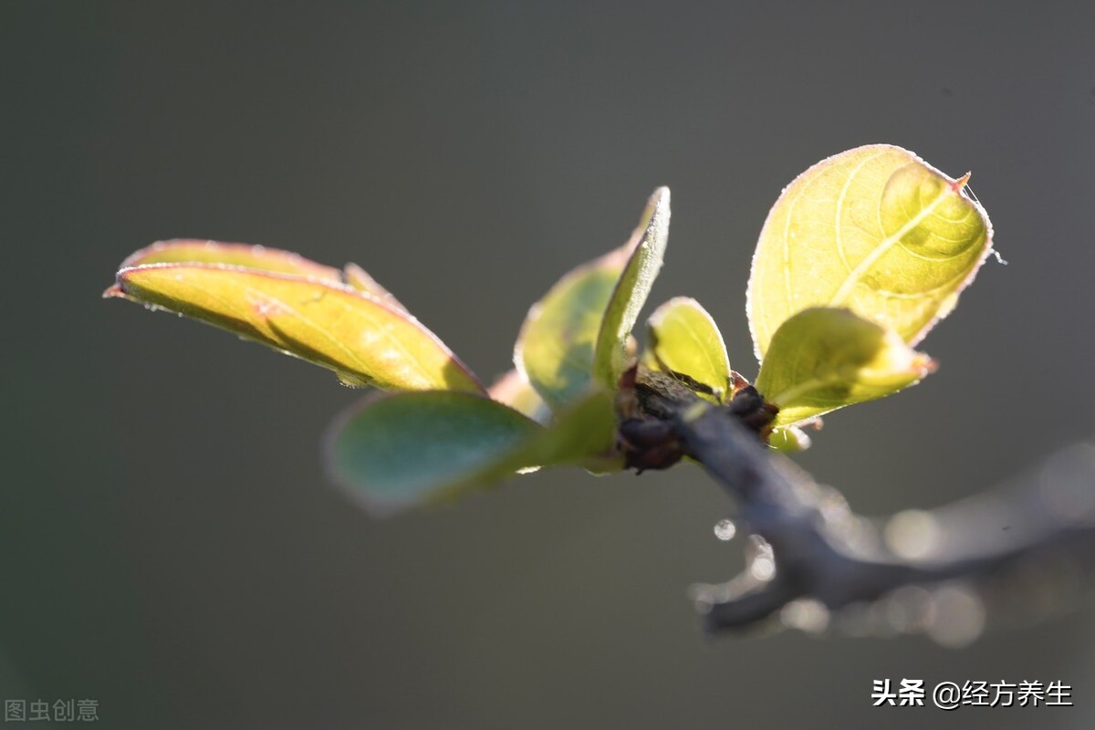 额头皱纹产生的原理是什么？
