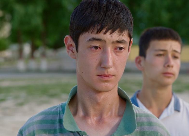 我们这十年之热爱是多少集,我们的十年之热爱免费观看