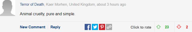 巴哥犬的优点有哪些方面,巴哥犬的优点和缺点及智商