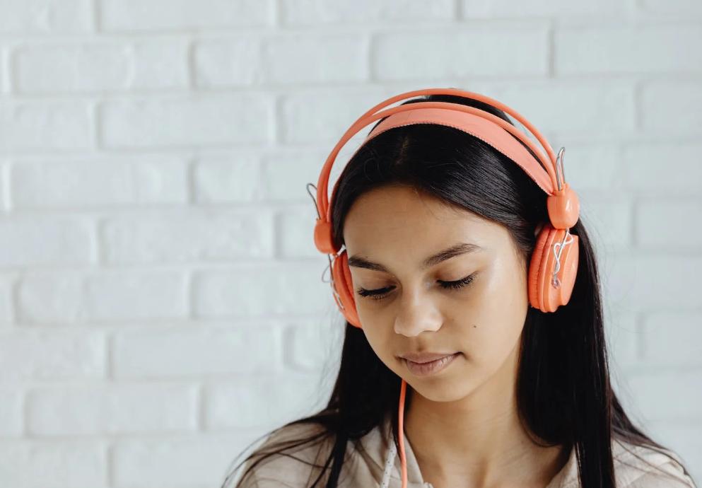 音乐对人格塑造的影响,性格对于音乐偏好的影响