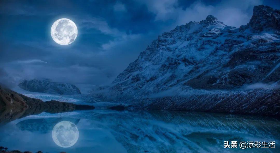 新高考作文素材书推荐,新高考议论文作文素材