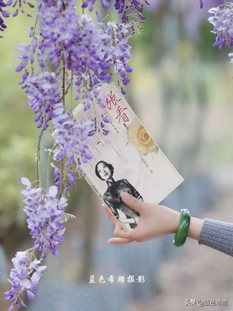 暮春时节紫藤花开,紫藤花开暮春到来