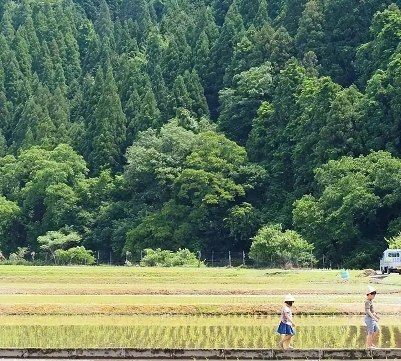 农村自建房的土地可以转让吗,农村房屋转让给个人合法吗