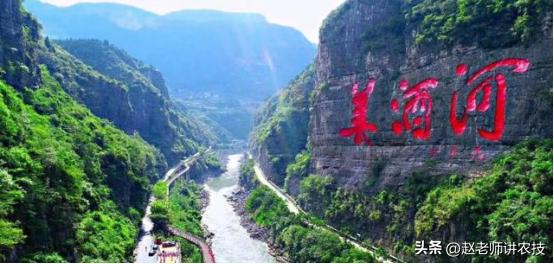 酒席上喝酒有什么祝酒词,喝酒祝酒词彬彬有礼