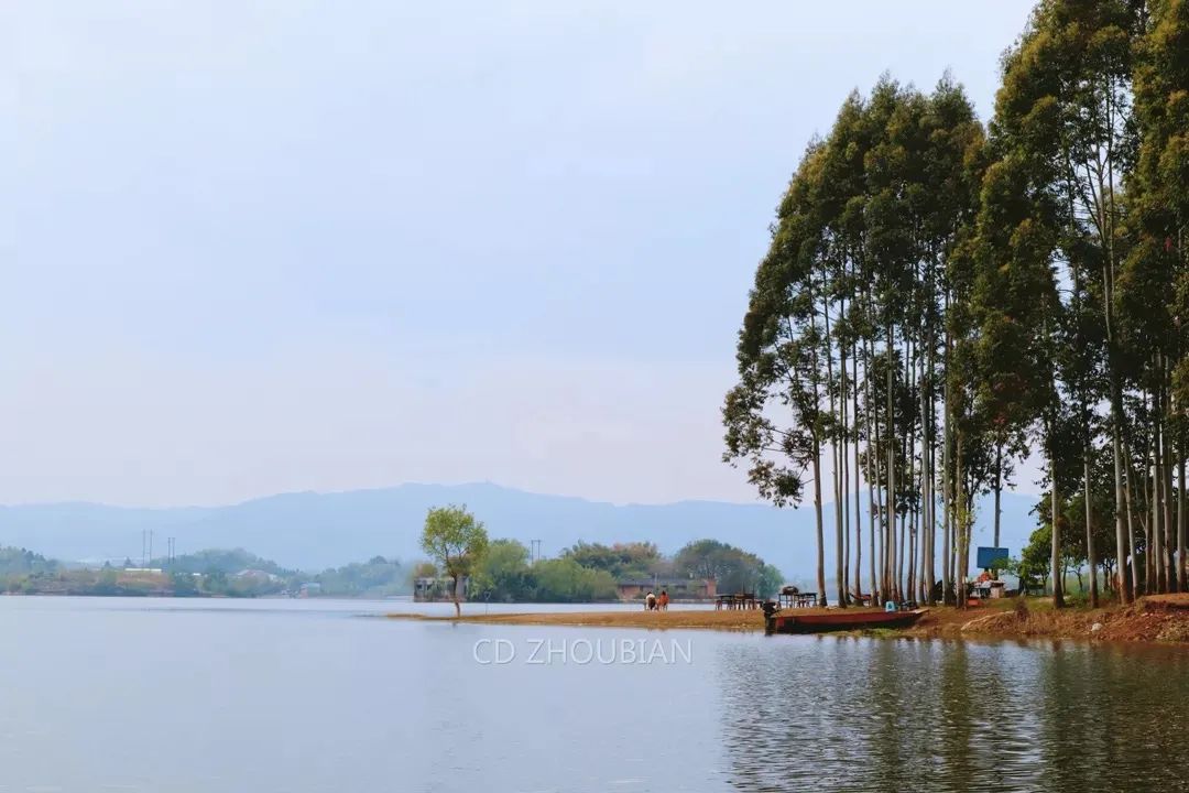 成都免费露营地推荐过夜,成都周边露营地推荐自驾