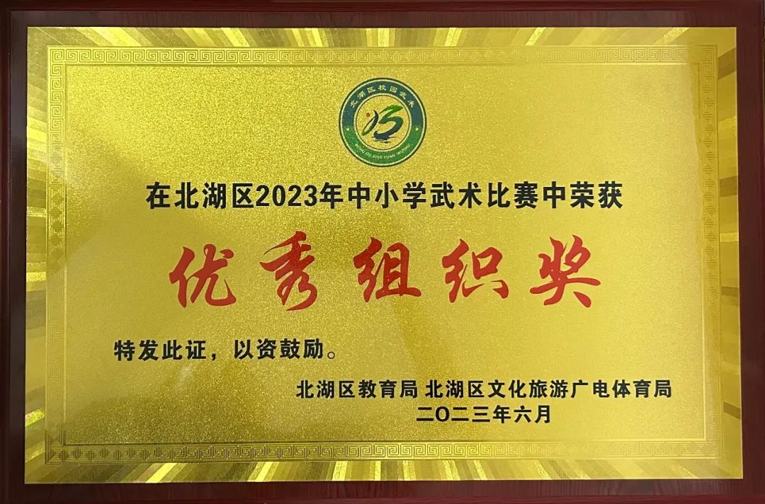 南燕小学,郴州市南燕小学成绩排名