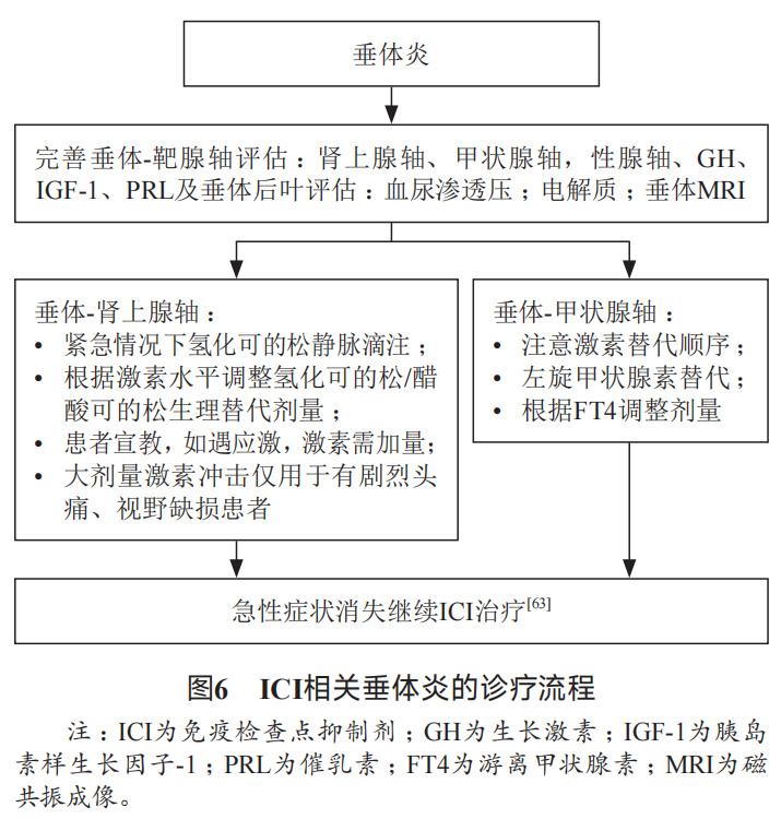 消化系统恶性肿瘤合理用药指南,胃肠道肿瘤免疫治疗前景