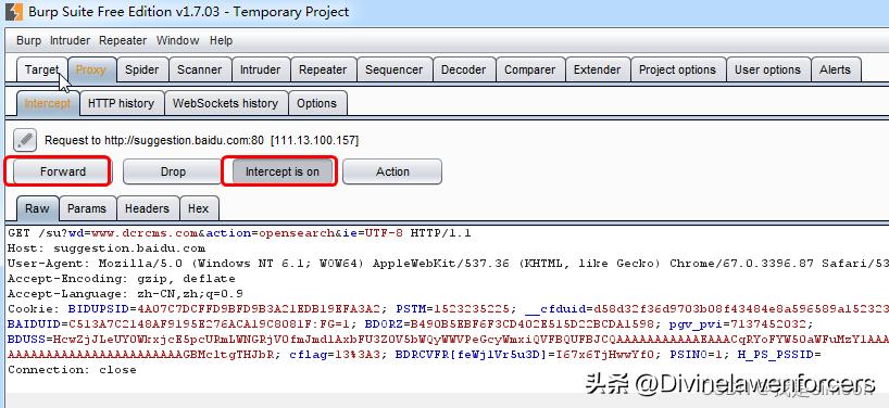 web后台有验证码如何爆破,网络安全技术web漏洞