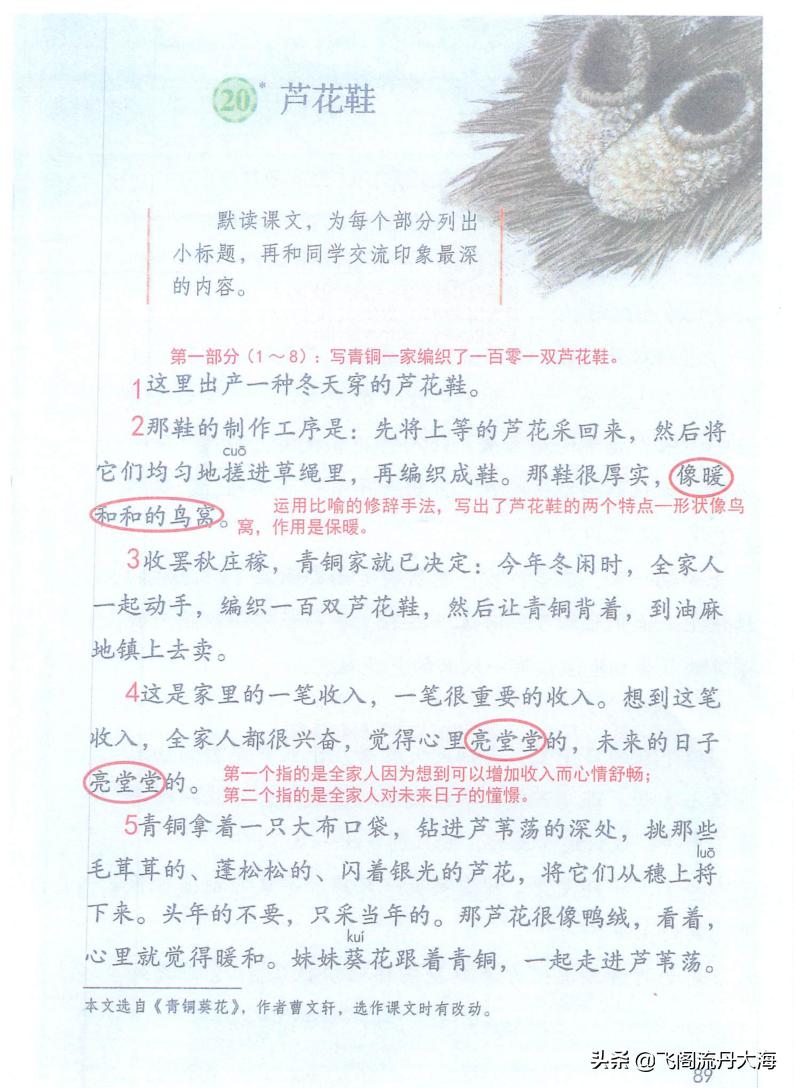 四年级下册第21课芦花鞋预习笔记,四年级下册语文芦花鞋提问题