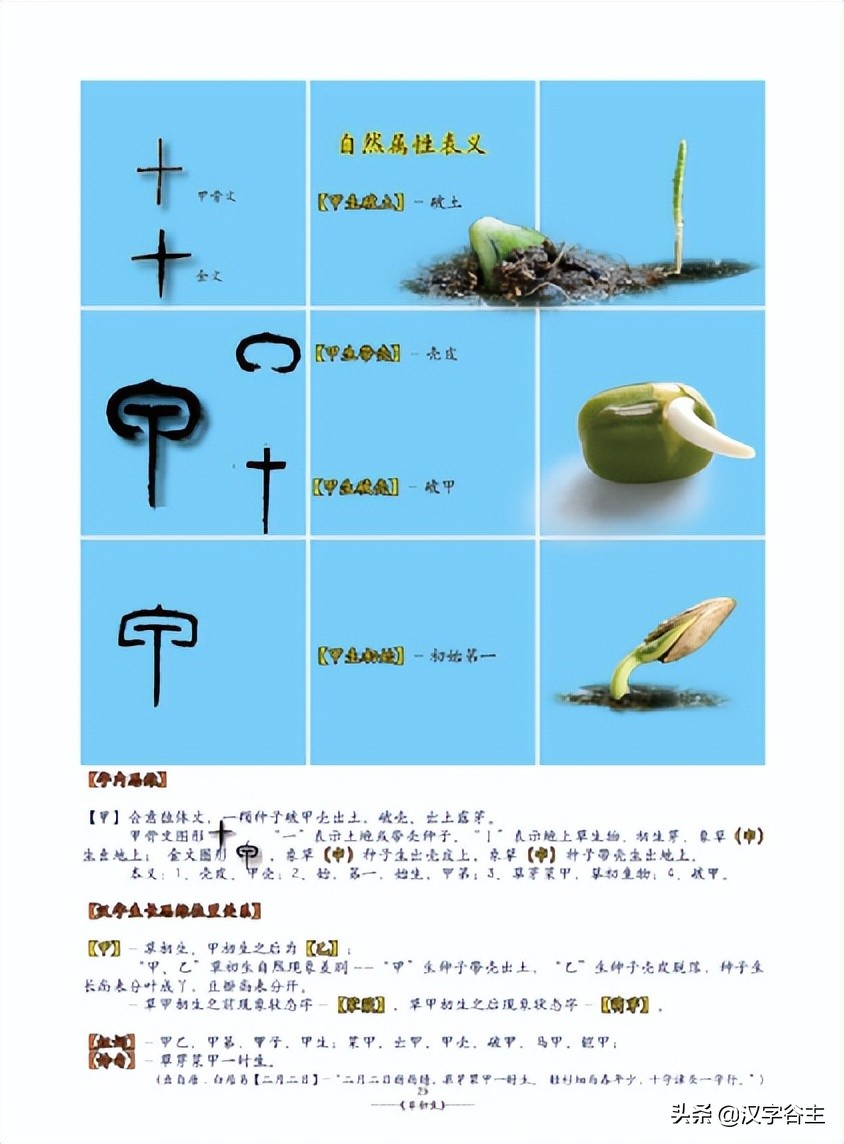 姹夊瓧妞嶇墿,鑽夋湪姹夊瓧