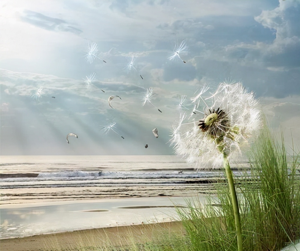 4大渠道海量素材,如何收集平日的写作素材