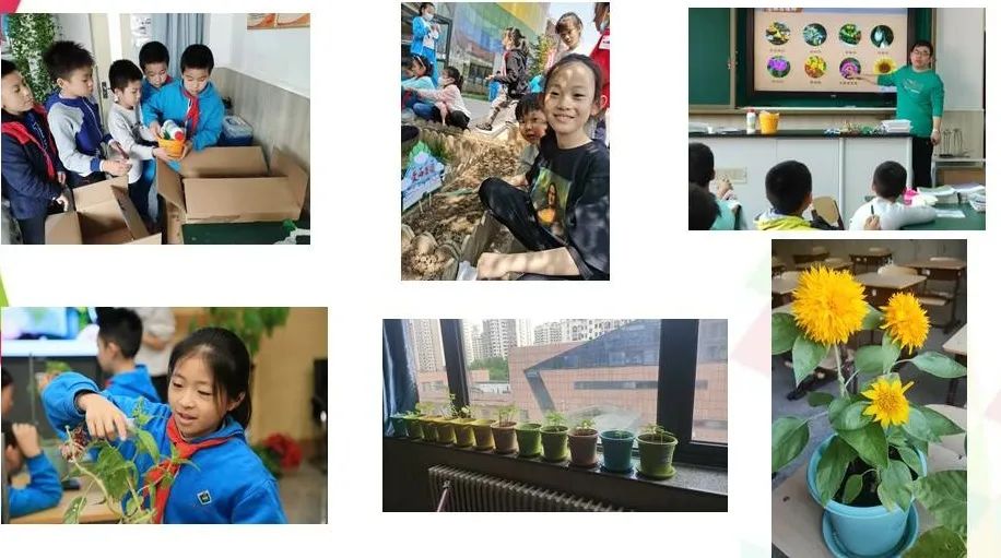 北京市润丰学校贵阳分校排名第几,北京润丰中学学校全国排名