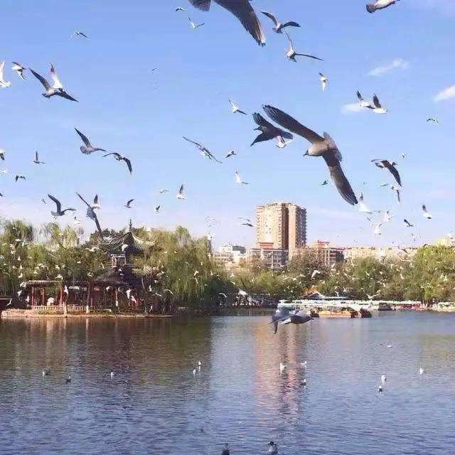 这个季节去哪里玩最合适昆明周边,昆明周边过年旅游推荐