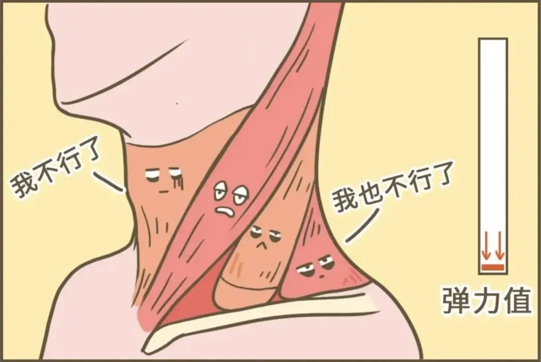落枕了咋办医生教你如何快速应对,落枕了小妙招