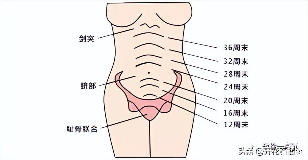 不懂经常摸自己孕肚没事吧,怎么摸肚子能感觉到胎儿在动