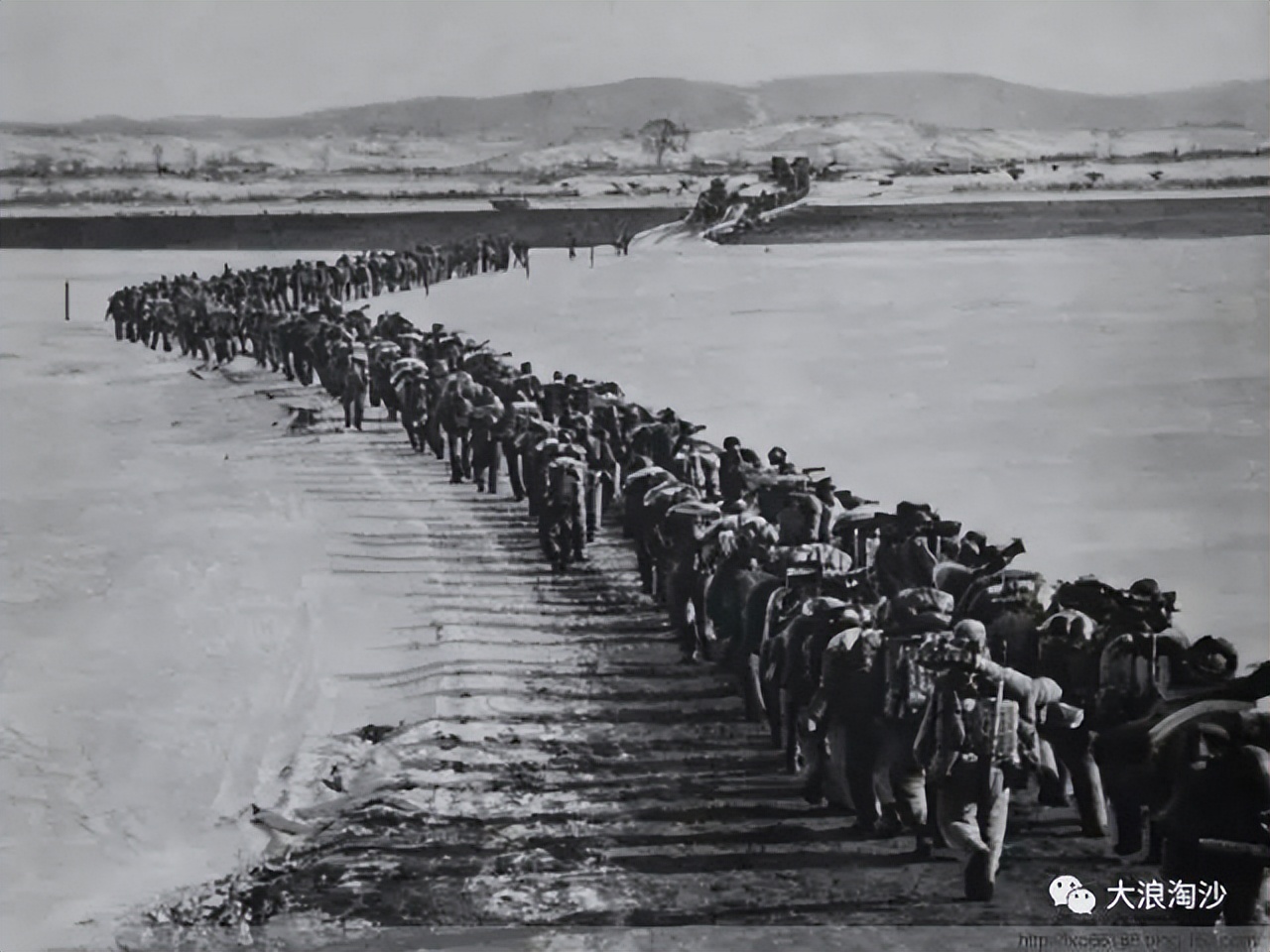 跪舔洋人几时休？