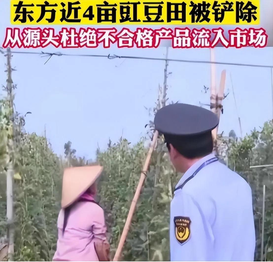 城市套路深怪不得都想回农村,城市套路深还是回农村比较实在