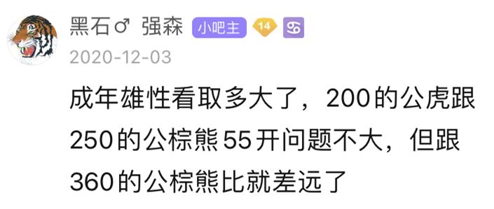 老虎和棕熊同等体重谁厉害,同等体型体重的老虎和狮子谁厉害