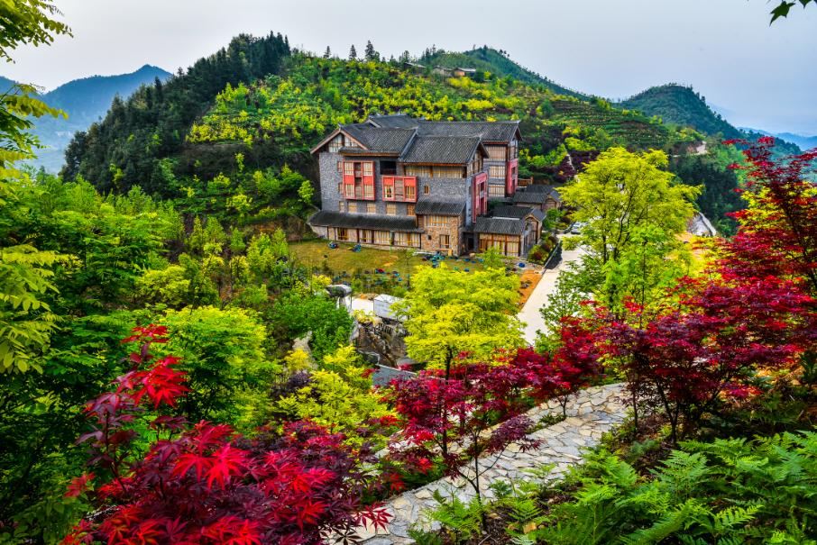 发布会丨发福利、送奖品、跑半马、听音乐……本周六起,巴南邀你陆海之约