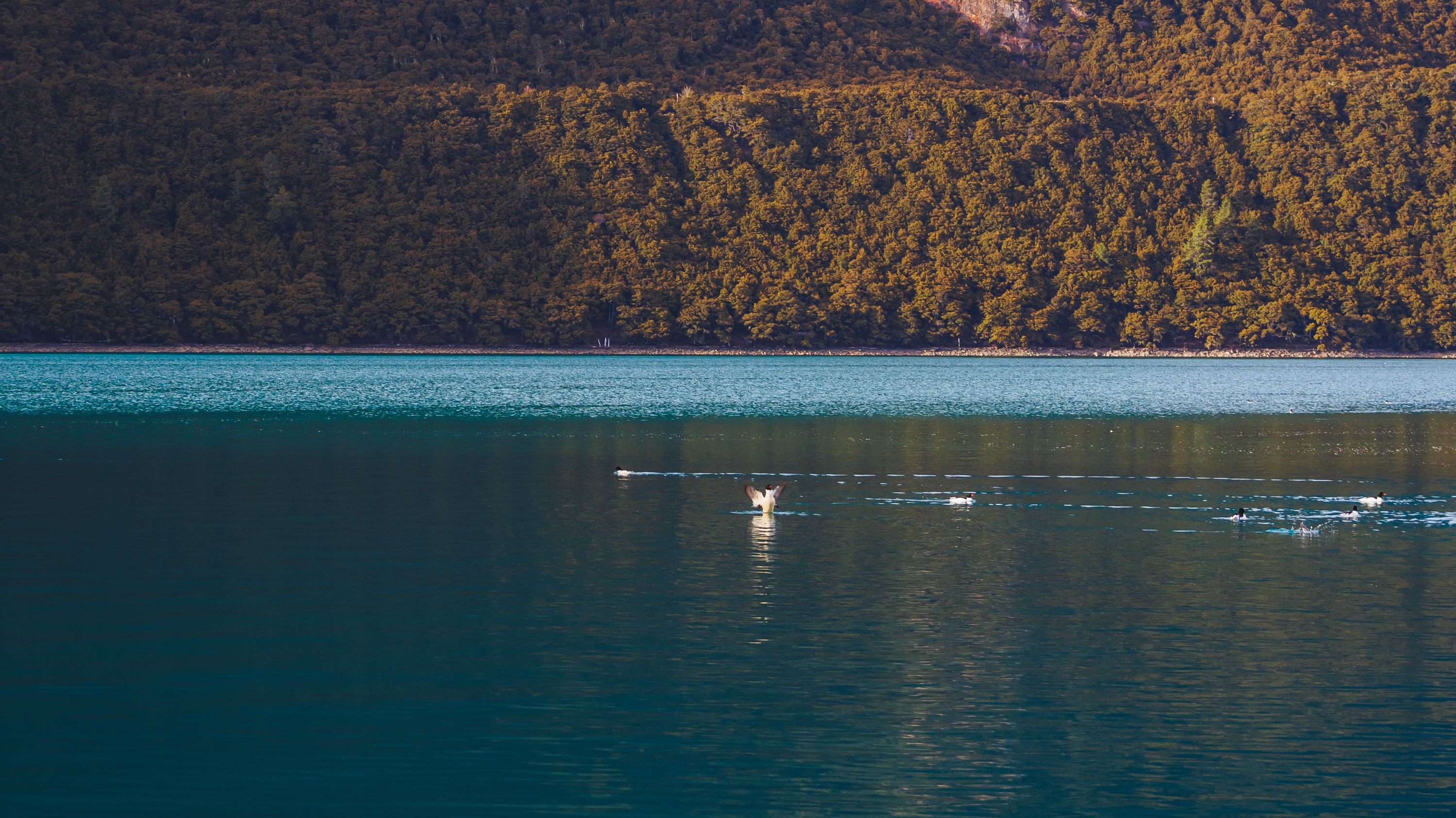 2022年M43还值得选择吗？M43双雄OM1和GH6的抉择