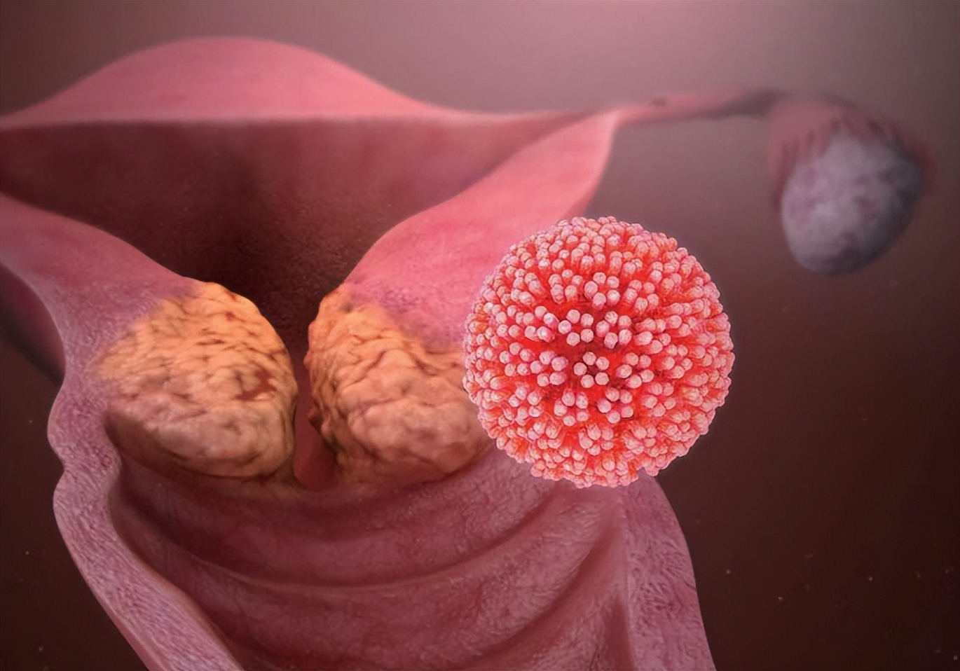 女生体检妇科有什么要注意的吗,女生体检要不要检查妇科