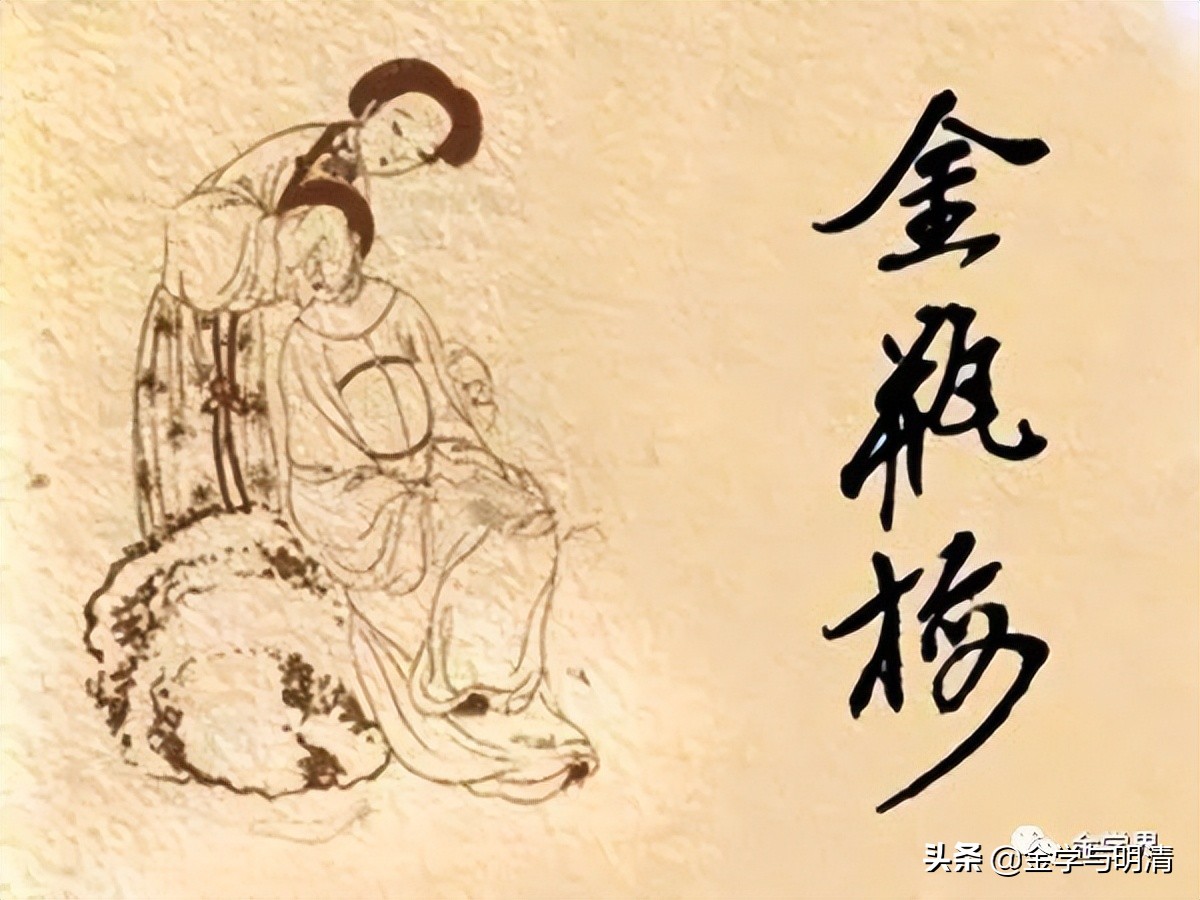 杨国玉形意拳,杨国玉全部视频