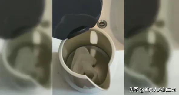 酒店沐浴露疑灌不明液体辟谣,酒店沐浴露疑灌不明液体最新后续