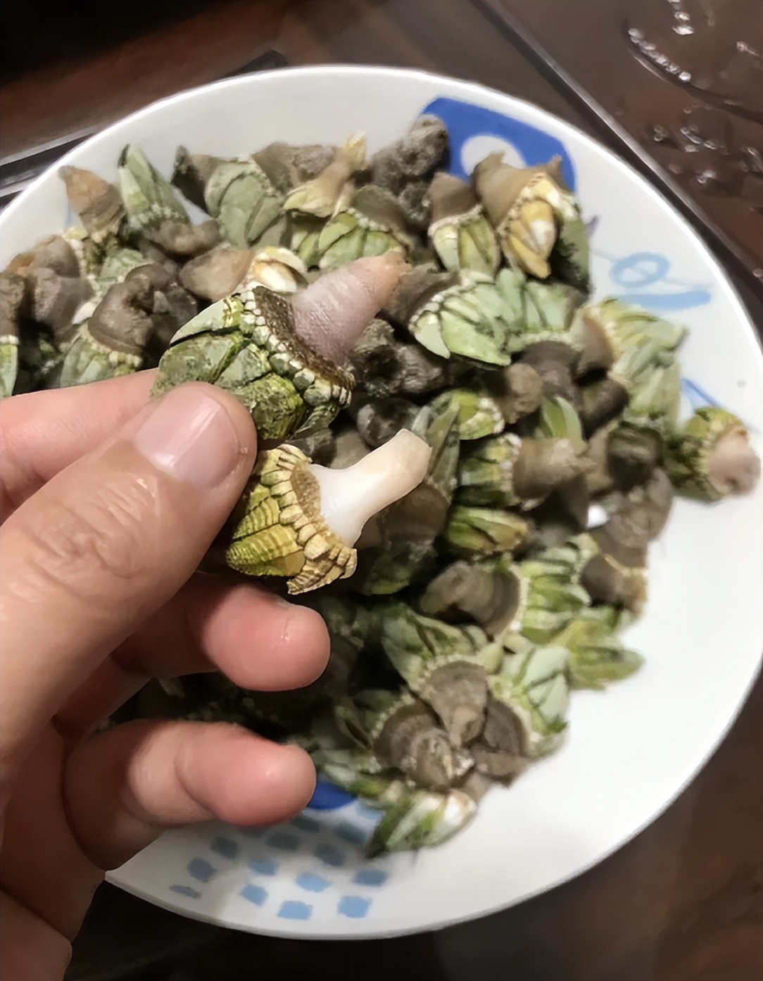 中国人吃藤壶,哪个地方的人吃藤壶