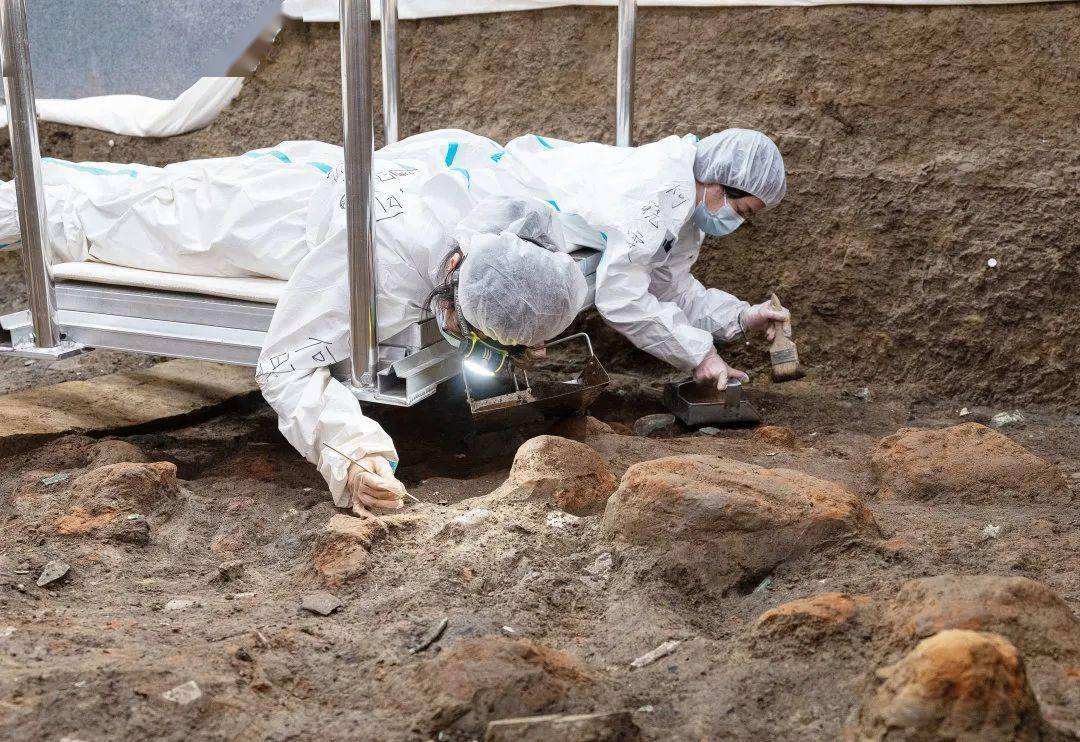 乐深度：宇宙级网红，都有一条大金链子