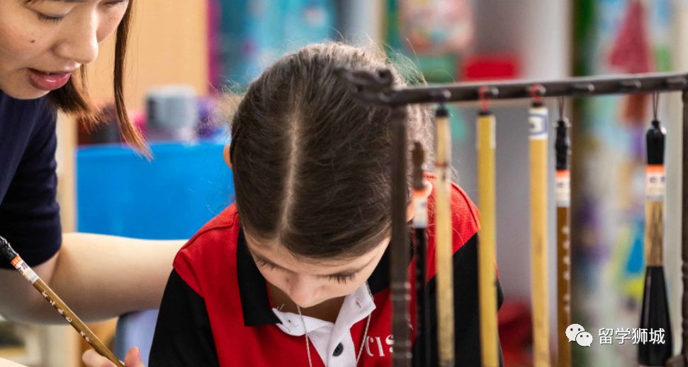 新加坡德国国际学校,加拿大ib国际学校