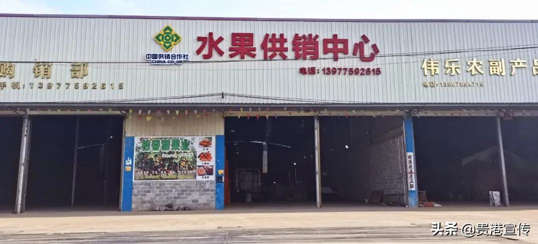 市供销合作社三农服务中心助增收,我为农民办实事