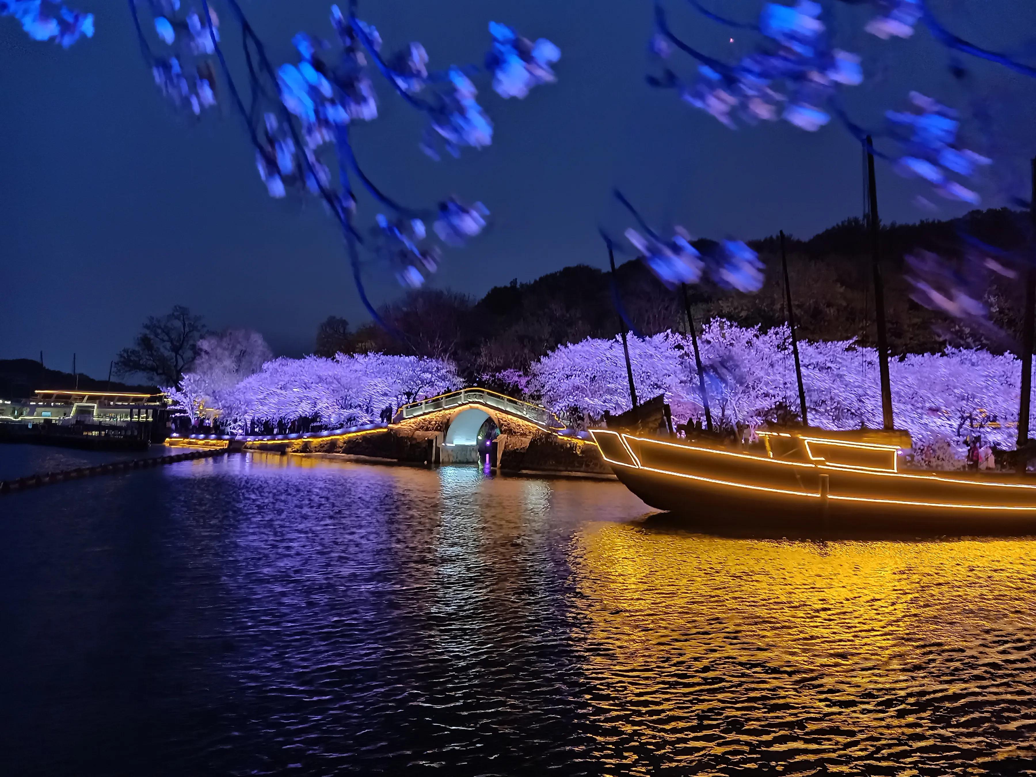 手拍世界近期作品,手拍世界完整版视频