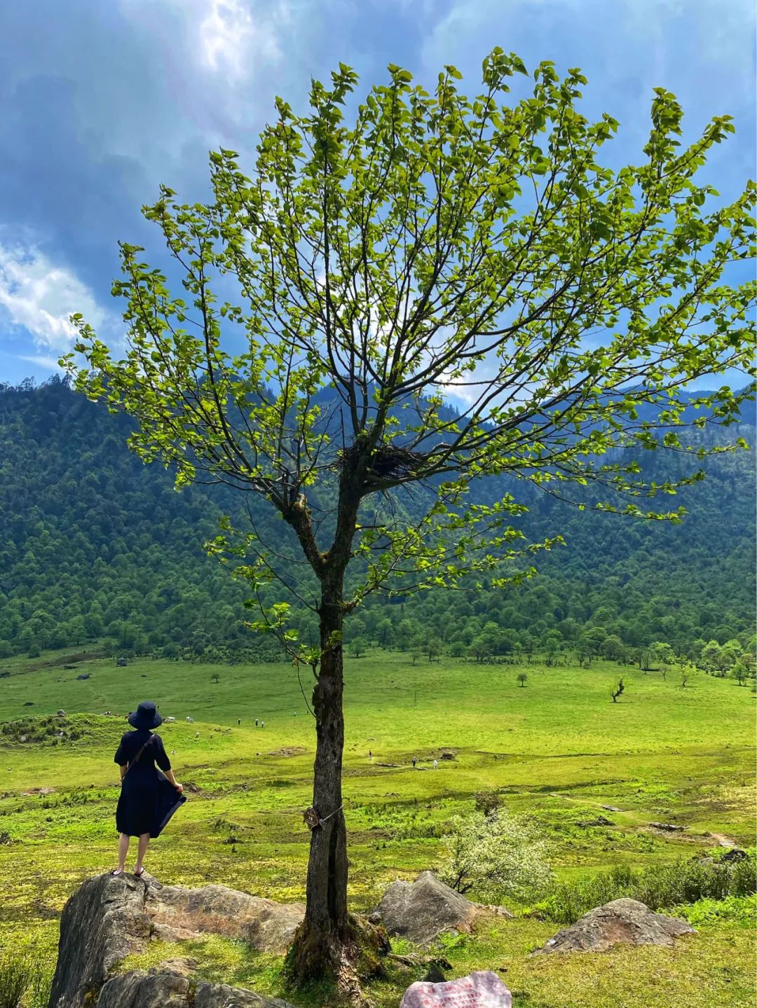 比成都好吃的火锅店,这座小城比杭州撩人美食不输潮汕