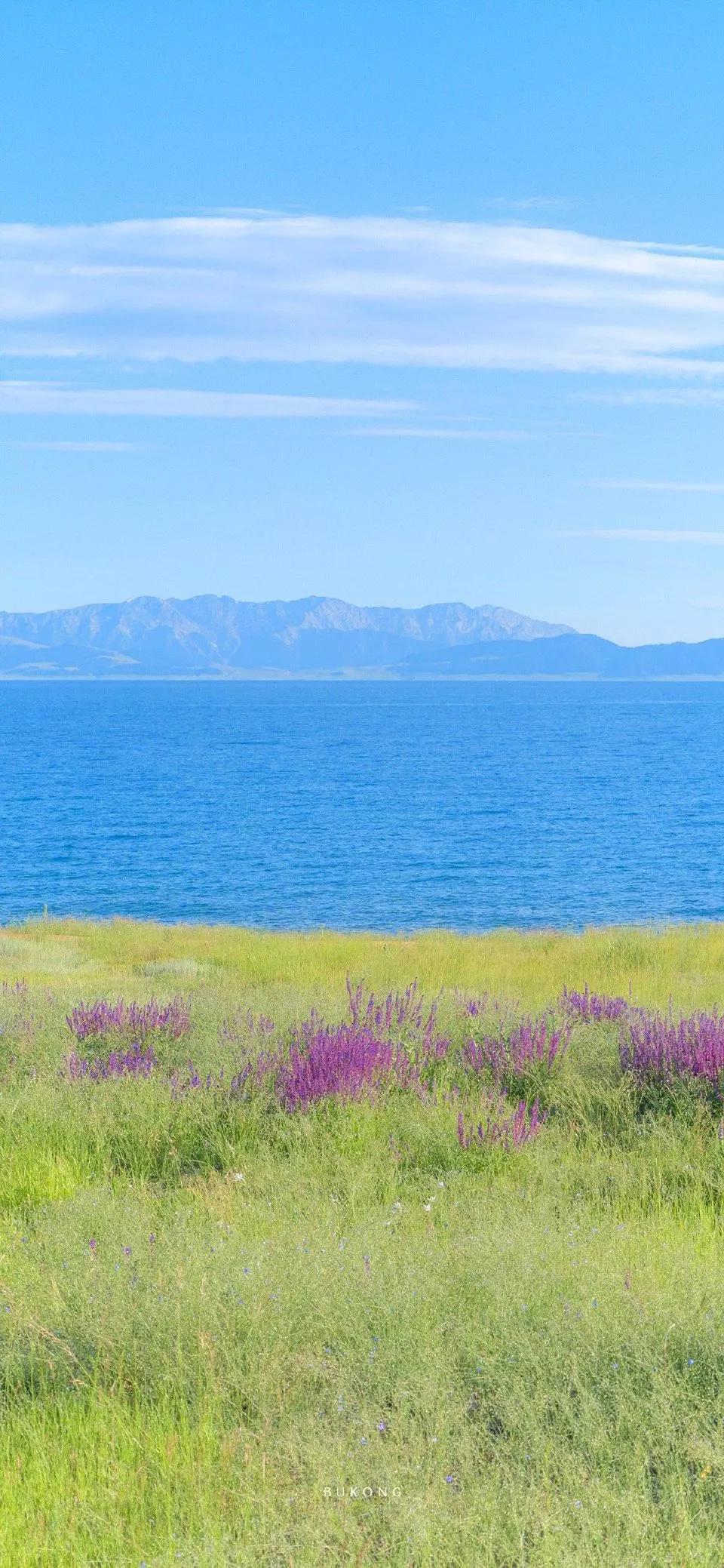 春天清新壁纸图片大全,手机壁纸春天风景超清