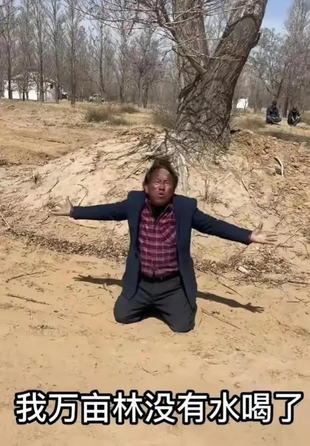 荒地承包价格多少钱一亩,农村荒地承包一年多少钱一亩