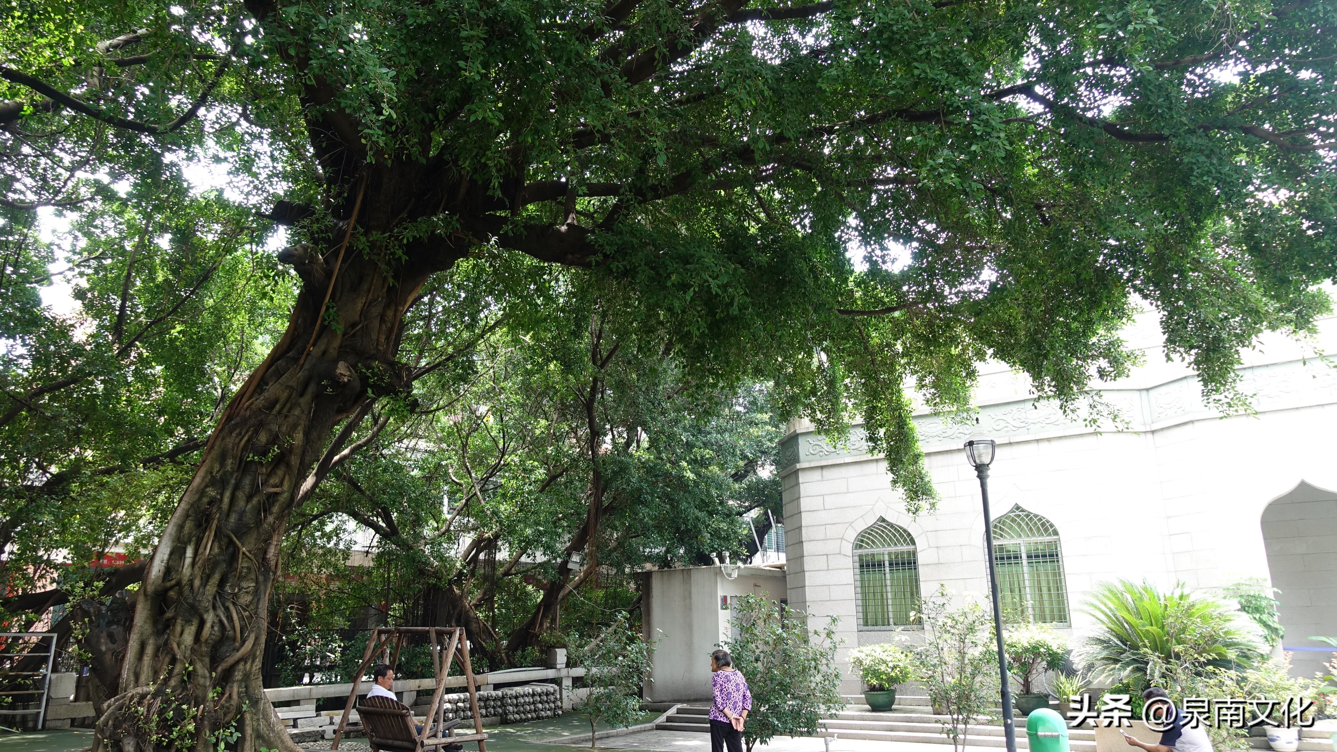 泉州涂门街简介,泉州涂门街位置在哪