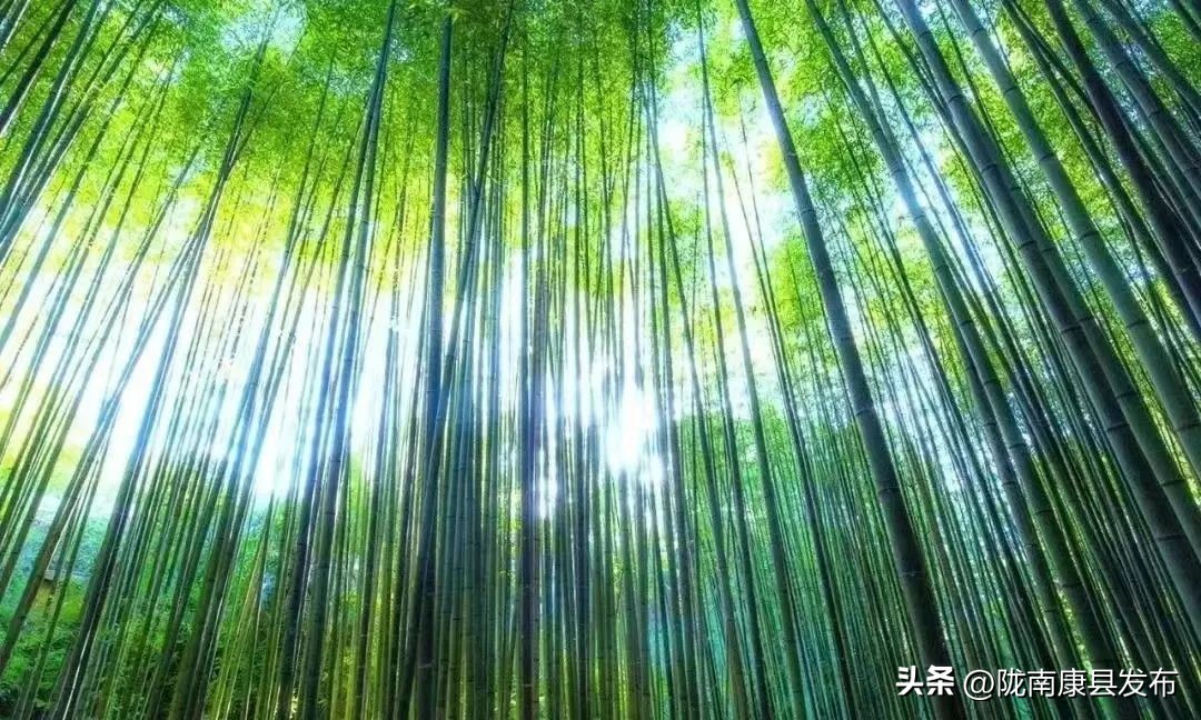 五一康养之旅,康养景区五一