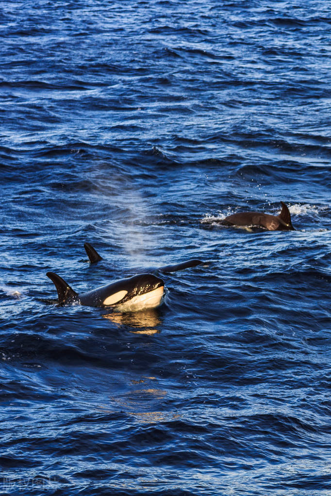 全球唯一没人管的地方,世界上唯一不需要时间的地方