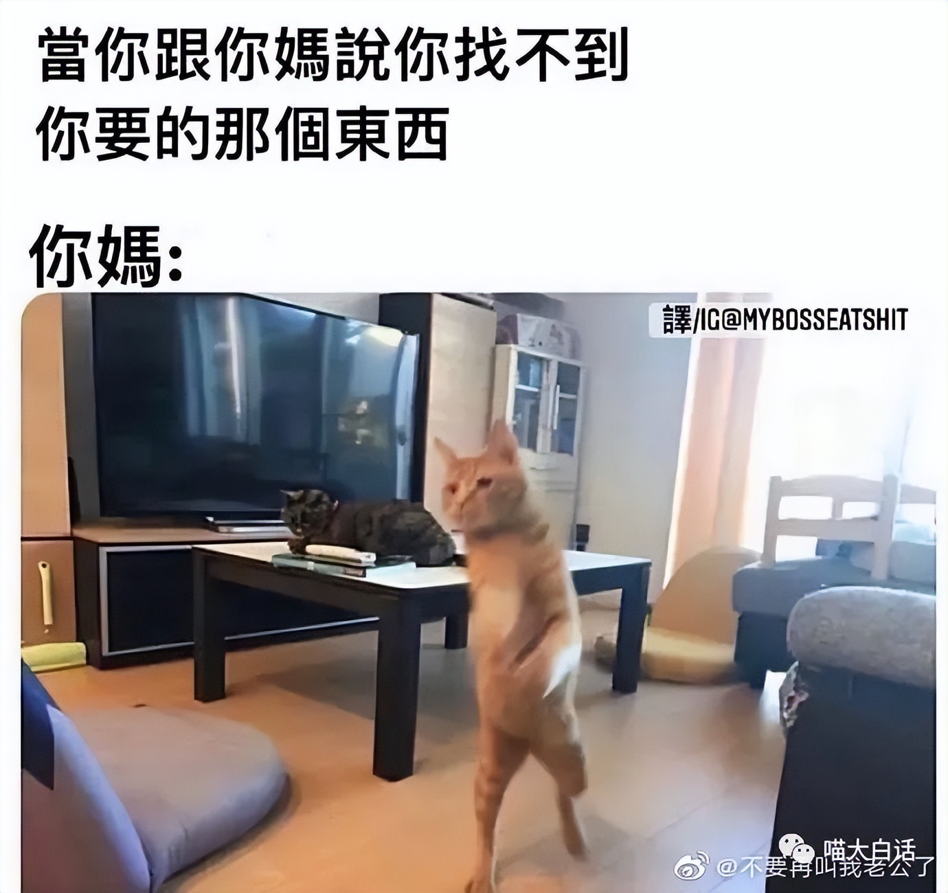 曝光聊天记录事件,曝光聊天记录反转事件