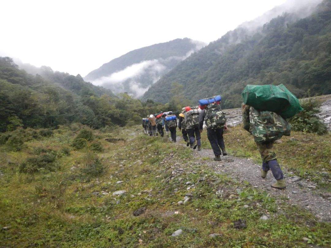 我们先去看熊猫吧英文,我们来了参观熊猫基地视频