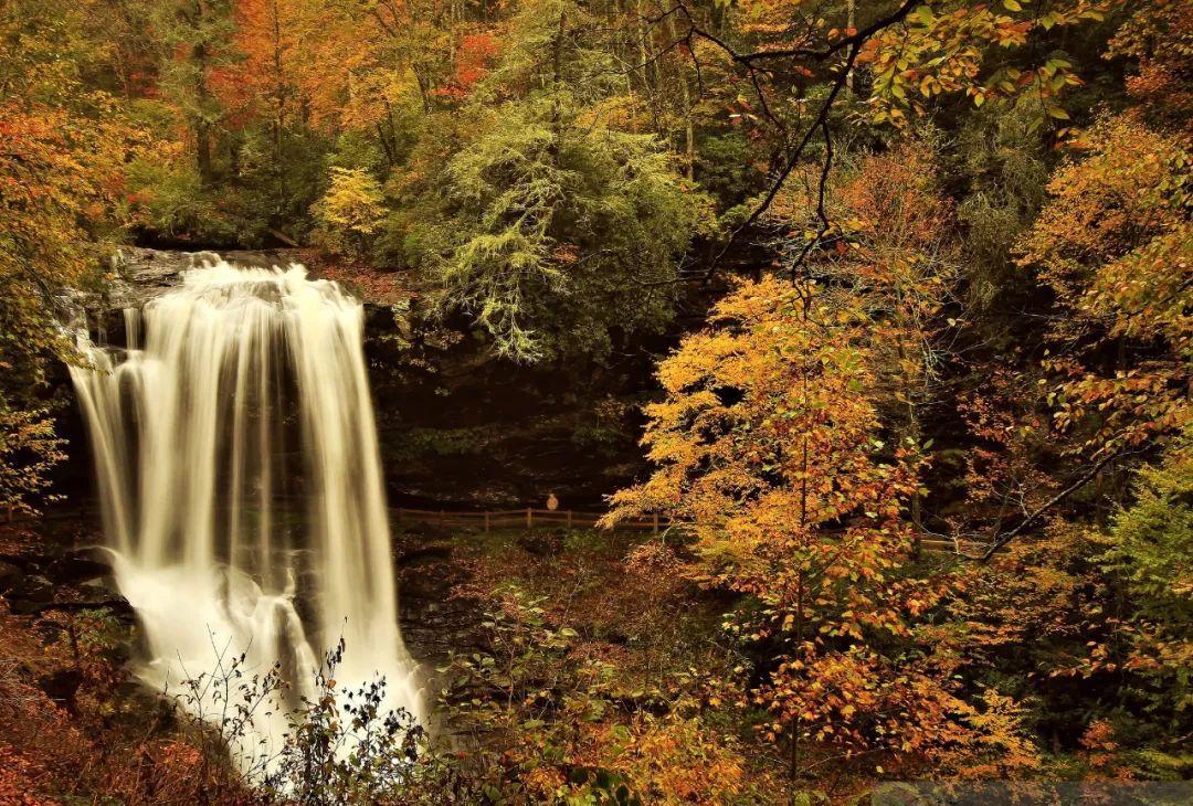 如何跟吝啬的婆婆相处,女人做到这三点婆婆才不敢小看你