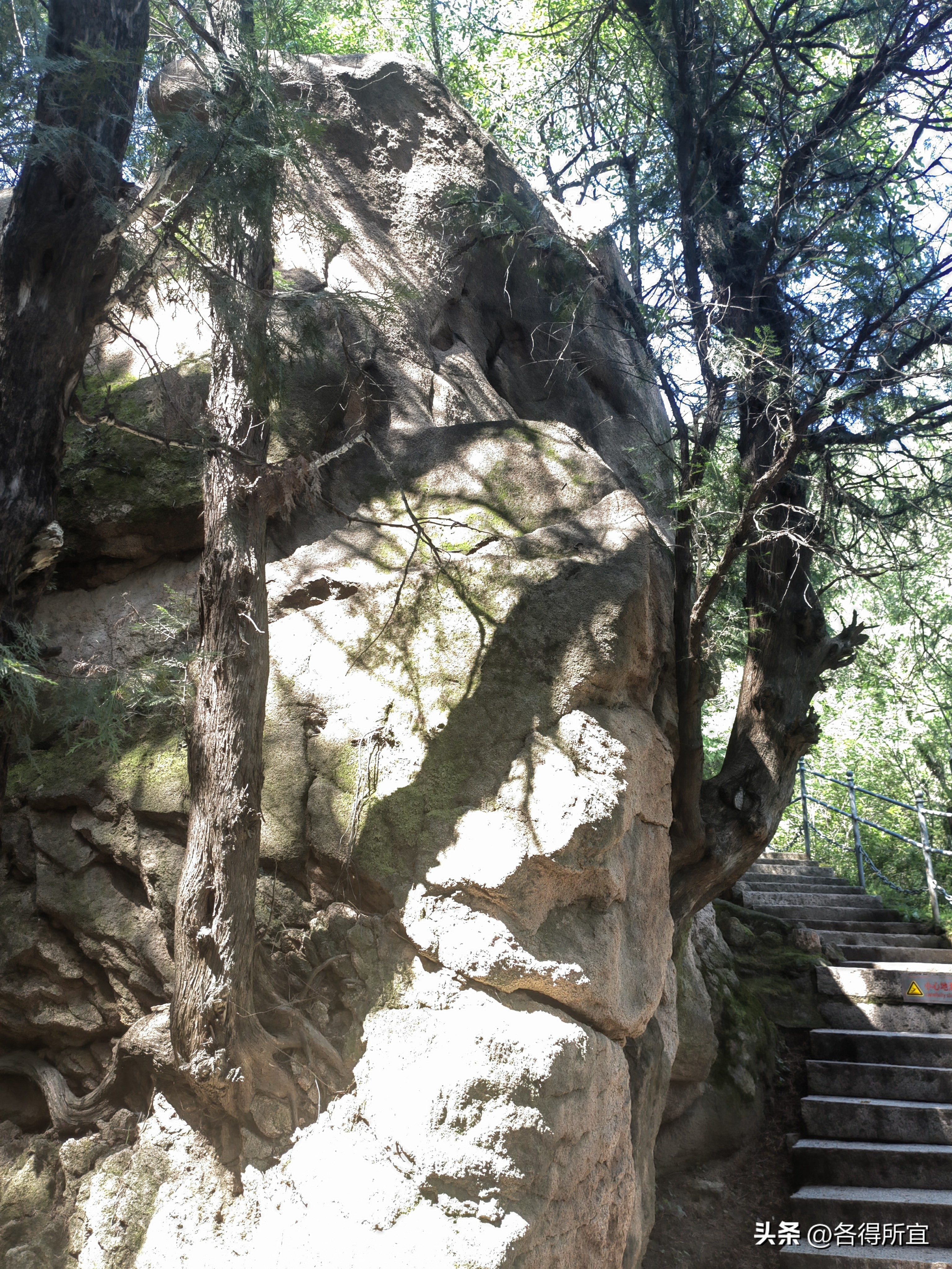 银山塔林落落洞,银山塔林传说