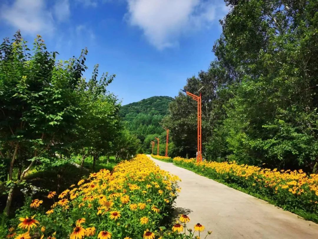 国内最值得入住的4家民宿,民宿必看100个