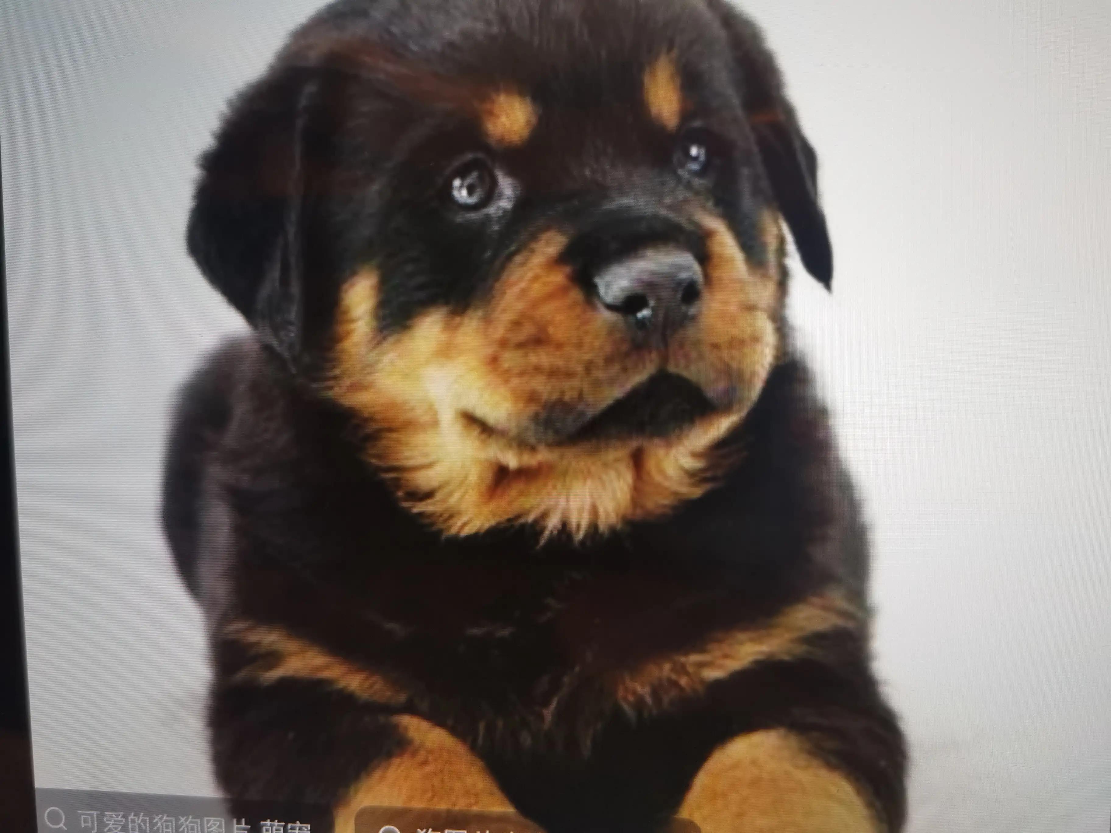 别人借钱不还怎么告,别人借钱不想借还不知道怎么回绝