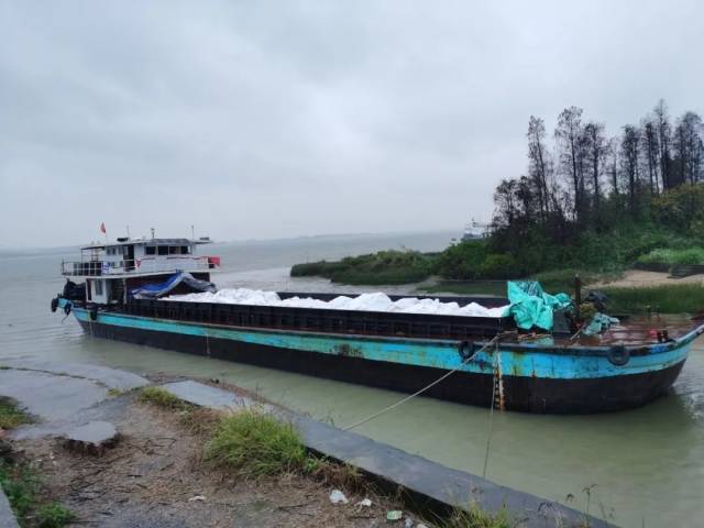 销售假冒品牌衣服被拘留了半年,卖假冒阿迪服装被抓获