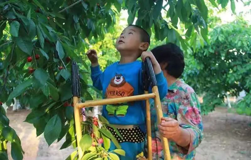 乡村旅游的七大思路,乡村旅游抓住这几点