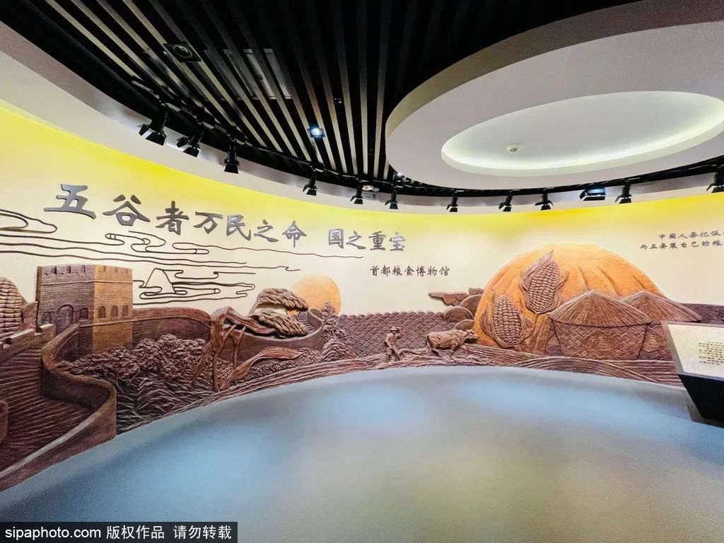 北京小众宝藏博物馆,北京必打卡的宝藏博物馆