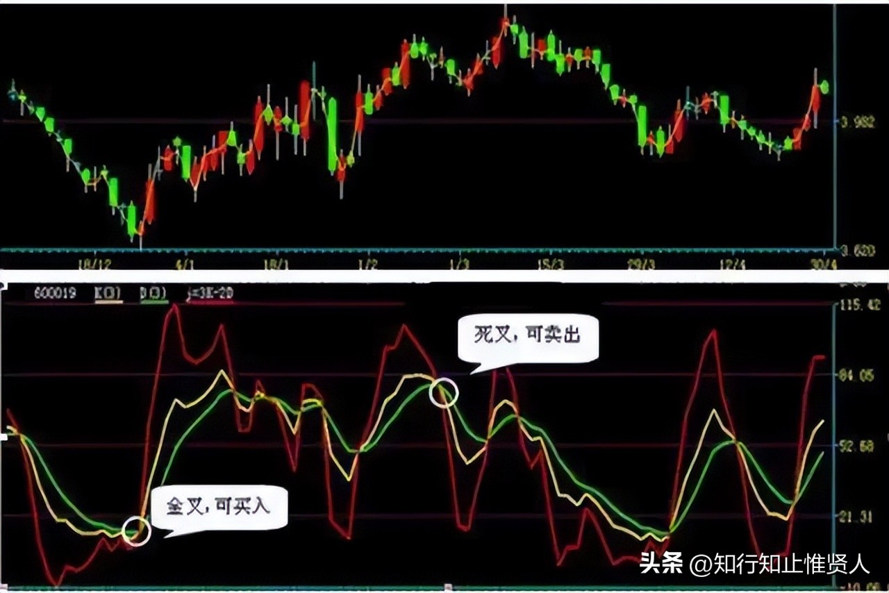 学到极致是什么意思,学到极致便是沧海一粟