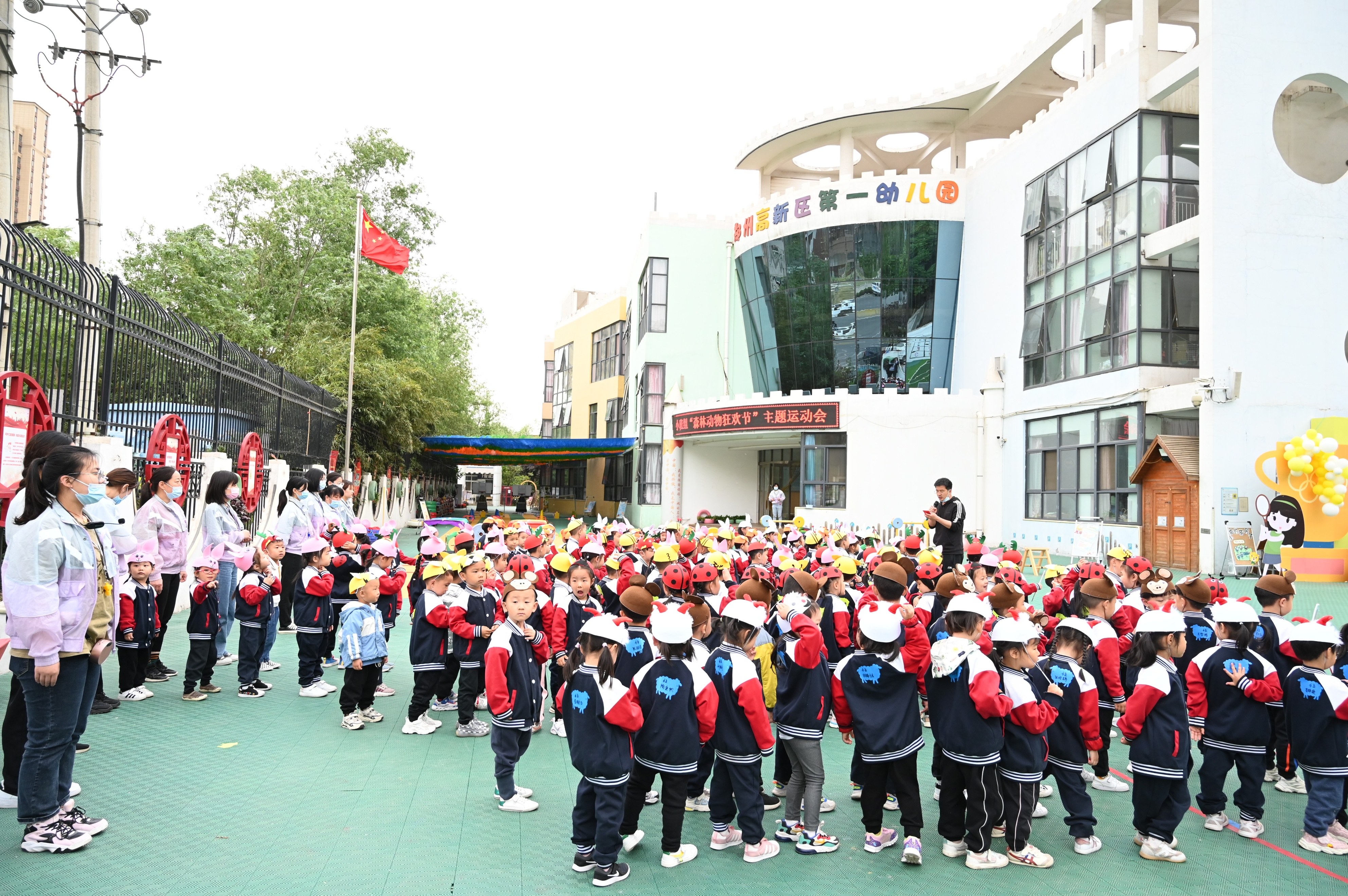 森林小动物狂欢节的表演视频,森林运动会中小动物参加比赛