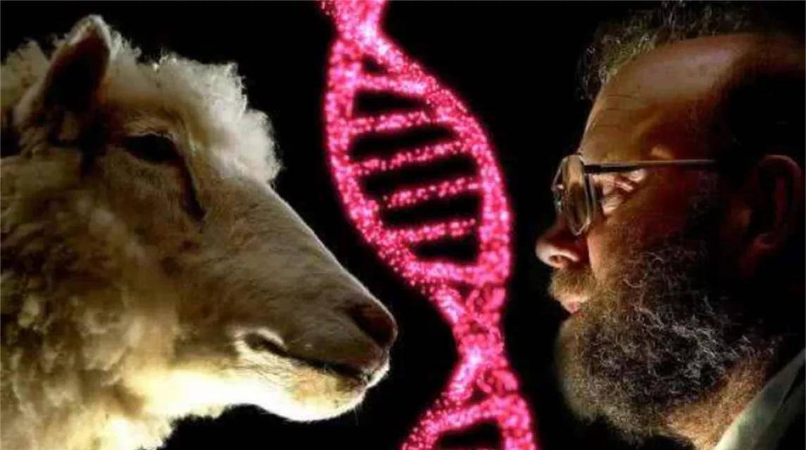 日本人动物胚胎实验长啥样,日本人动物胚胎实验